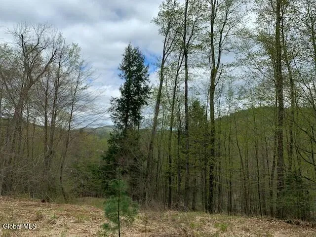 $77,500 | L4 Alder Brook Road, Brant Lake, NY 12815