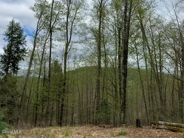 $77,500 | L4 Alder Brook Road, Brant Lake, NY 12815