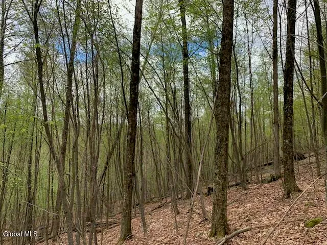 $77,500 | L4 Alder Brook Road, Brant Lake, NY 12815