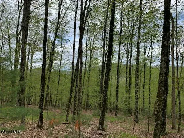 $77,500 | L4 Alder Brook Road, Brant Lake, NY 12815