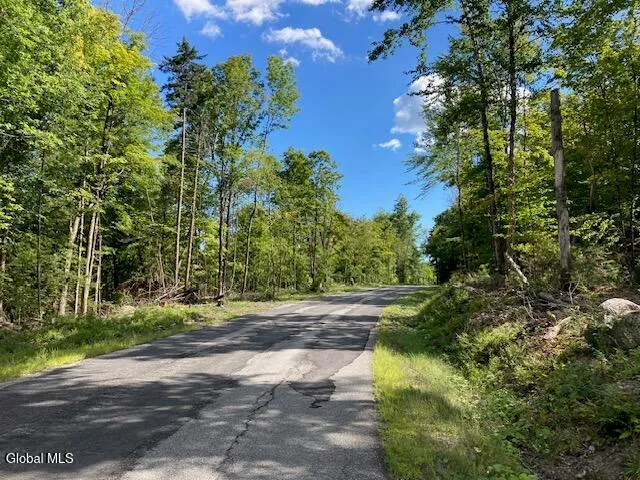 $77,500 | L4 Alder Brook Road, Brant Lake, NY 12815