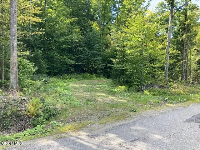 $77,500 | L4 Alder Brook Road, Brant Lake, NY 12815