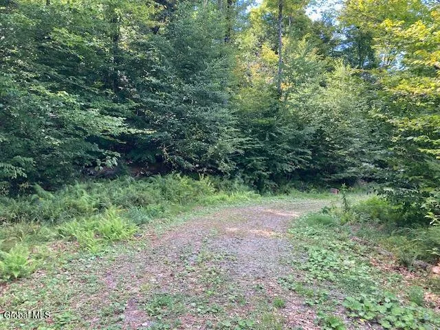 $77,500 | L4 Alder Brook Road, Brant Lake, NY 12815