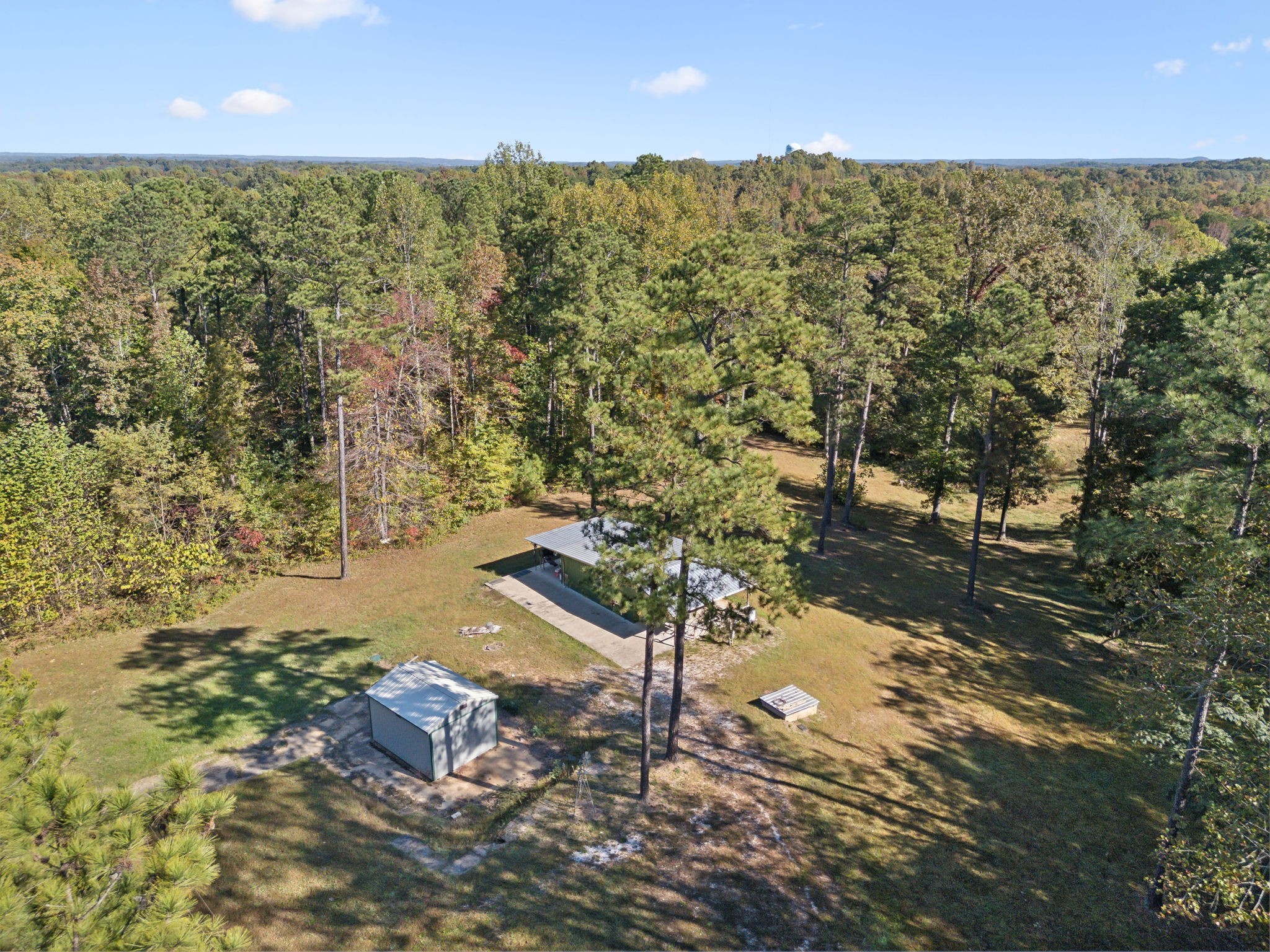 534 Whitney Branch Road Springville, TN 38256 - Photo 6 of 41 a view of outdoor space and garden