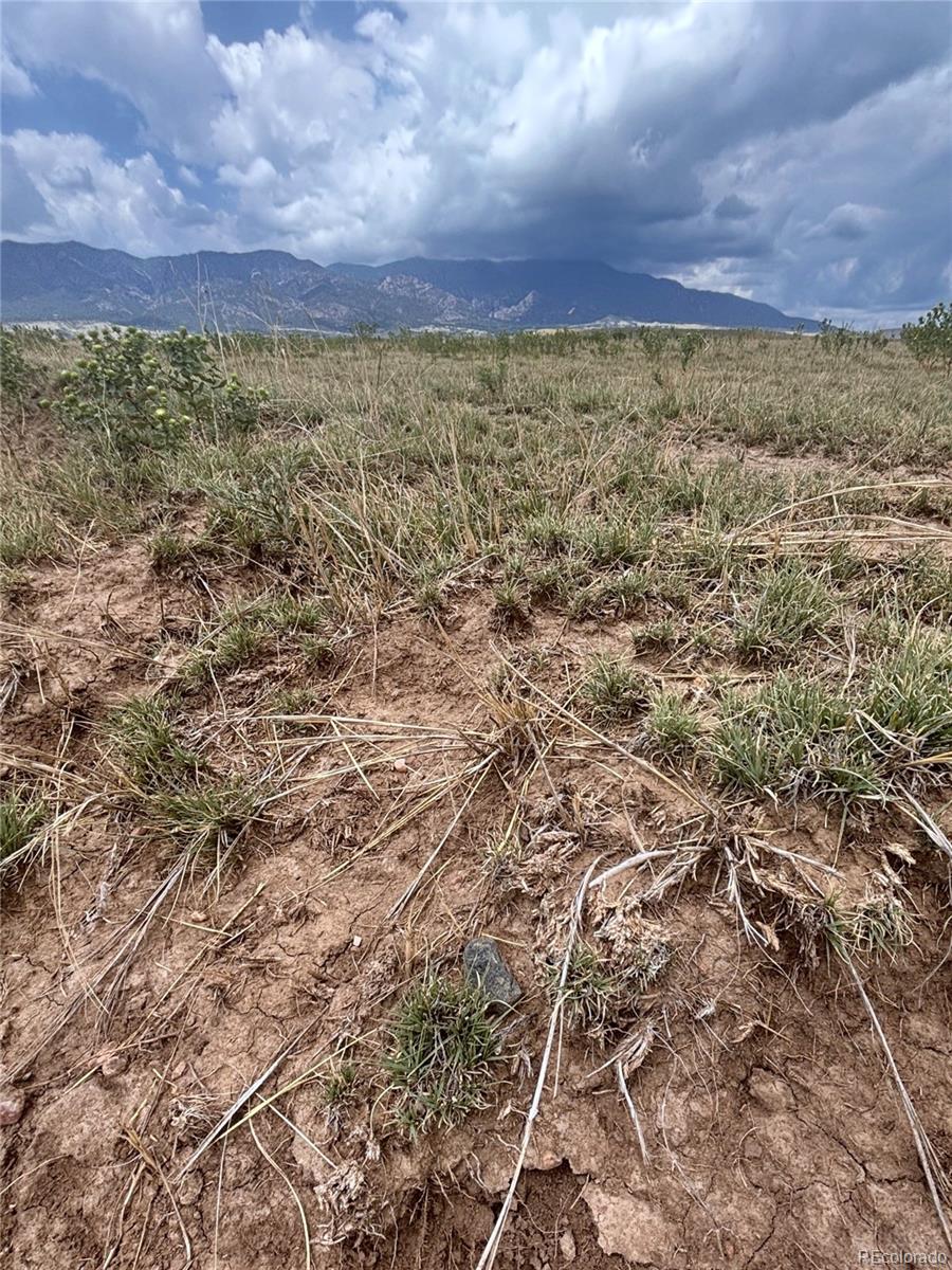 0 Lot 100 Colorado Land And Livestock Ranch Rye, CO 81069 - Photo 2 of 15 a view of a large yard with a street
