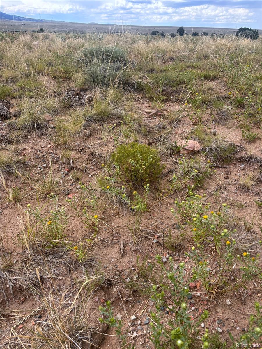 0 Lot 100 Colorado Land And Livestock Ranch Rye, CO 81069 - Photo 4 of 15 a view of a yard with an outdoor space