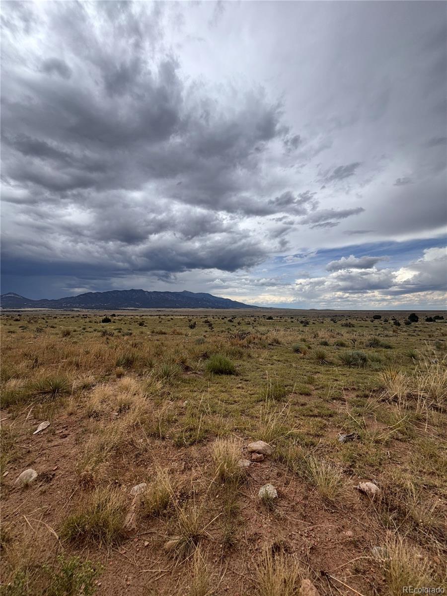 0 Lot 100 Colorado Land And Livestock Ranch Rye, CO 81069 - Photo 6 of 15 a view of a large trees