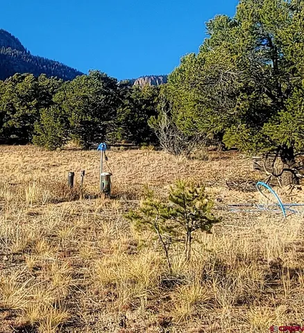 a view of a backyard of a house with table and chairs