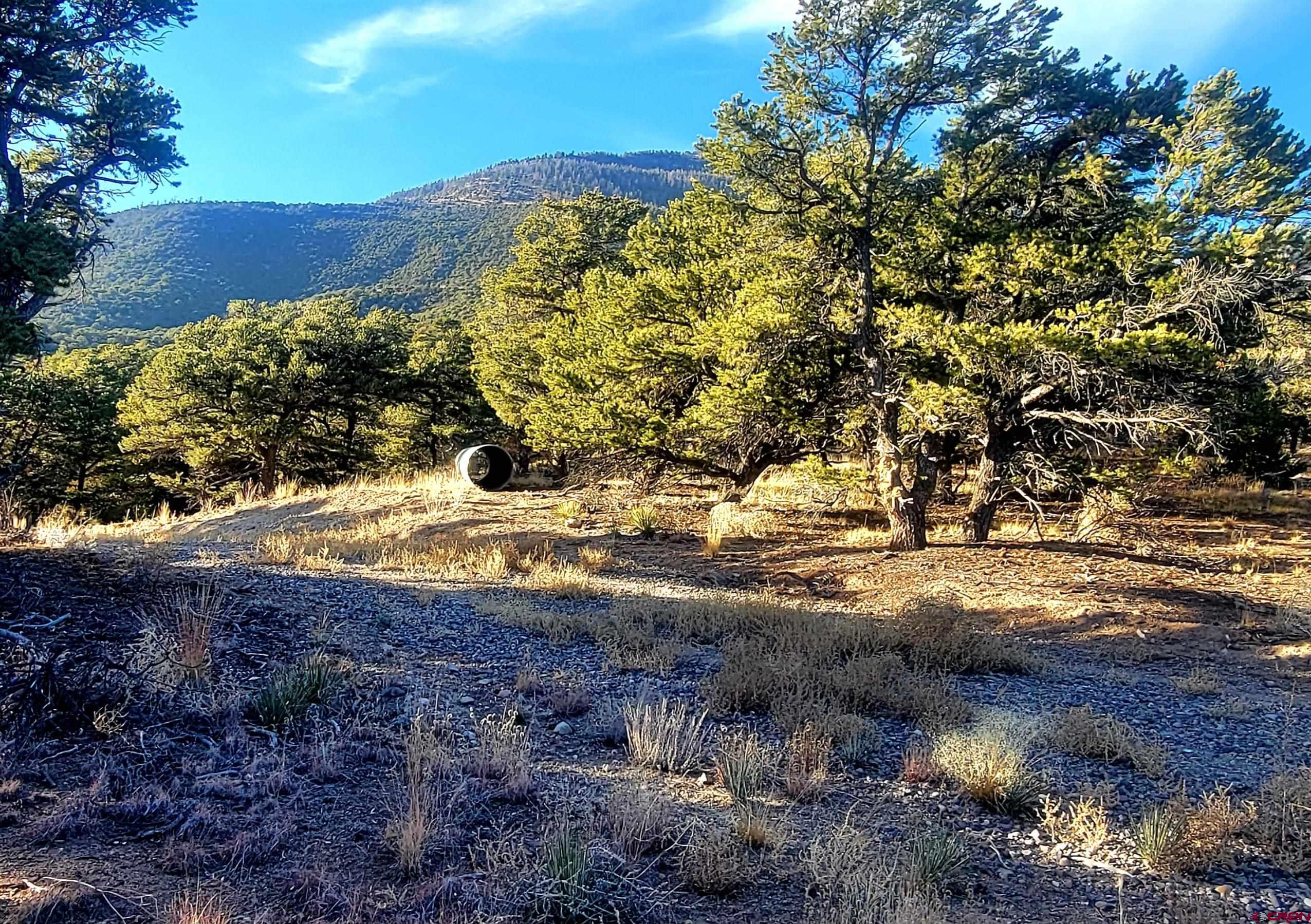 1094-1343 Valley View Road South Fork, CO 81154 - Photo 14 of 37 a view of a yard with a tree