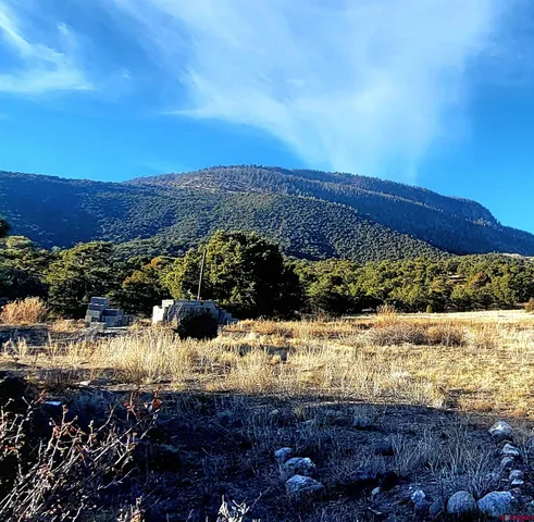 a view of a back yard