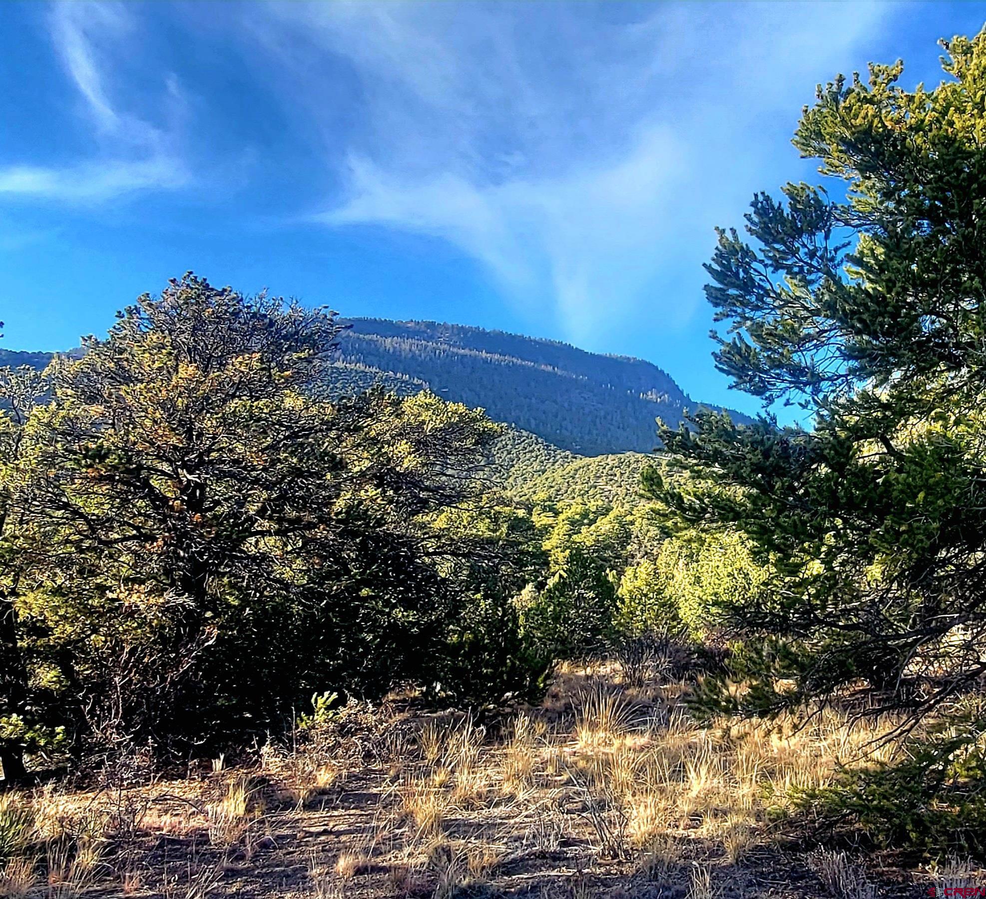 1094-1343 Valley View Road South Fork, CO 81154 - Photo 29 of 37 a view of a large building with a mountain in the background