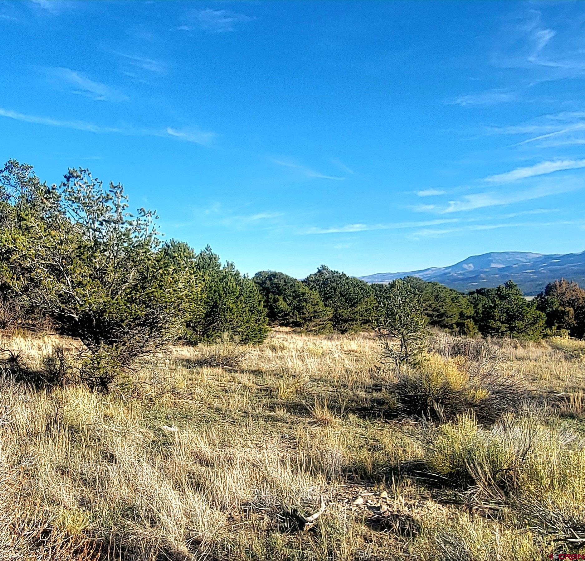 1094-1343 Valley View Road South Fork, CO 81154 - Photo 31 of 37 a view of mountain view with mountains in the background