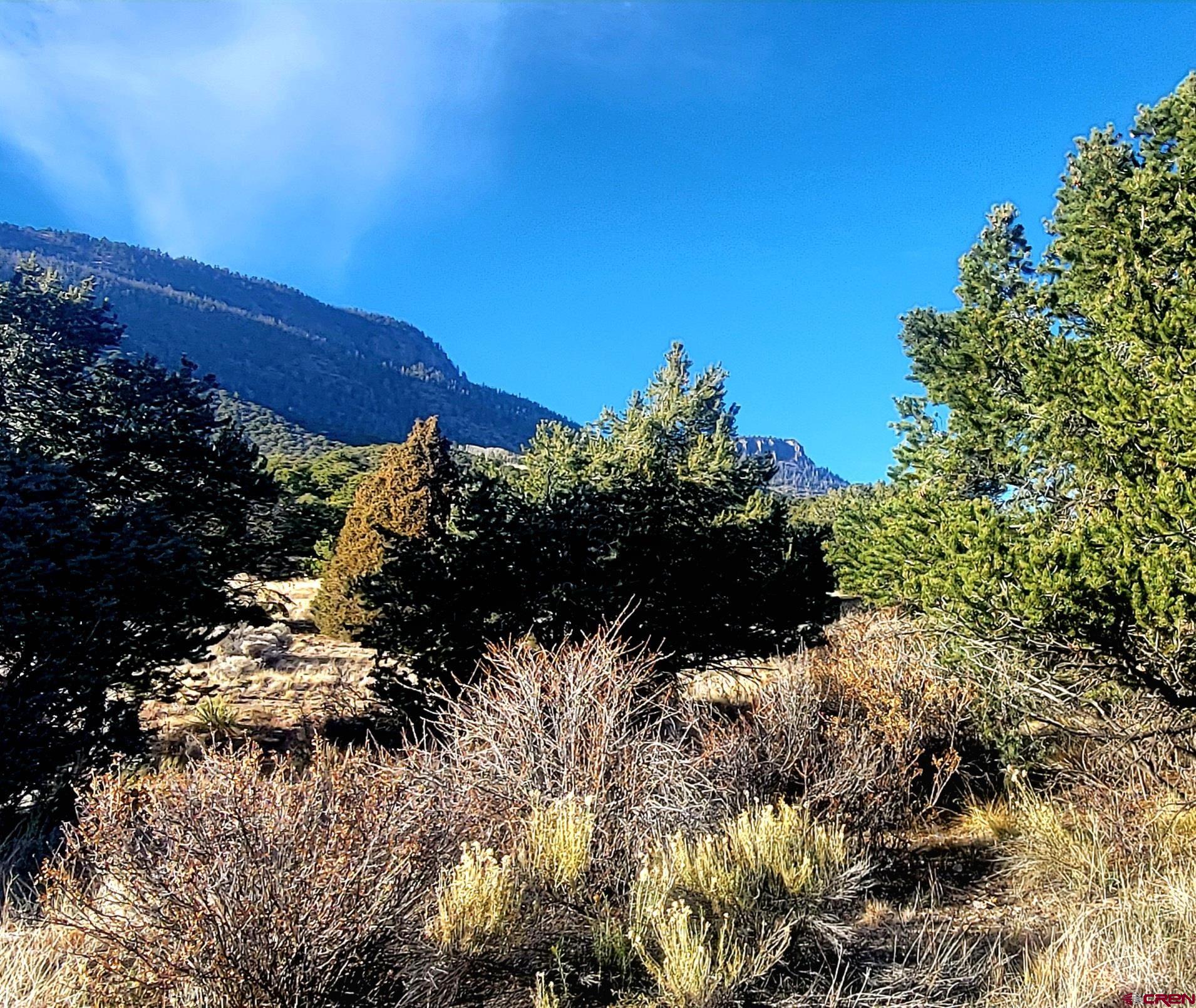 1094-1343 Valley View Road South Fork, CO 81154 - Photo 33 of 37 a view of a tree