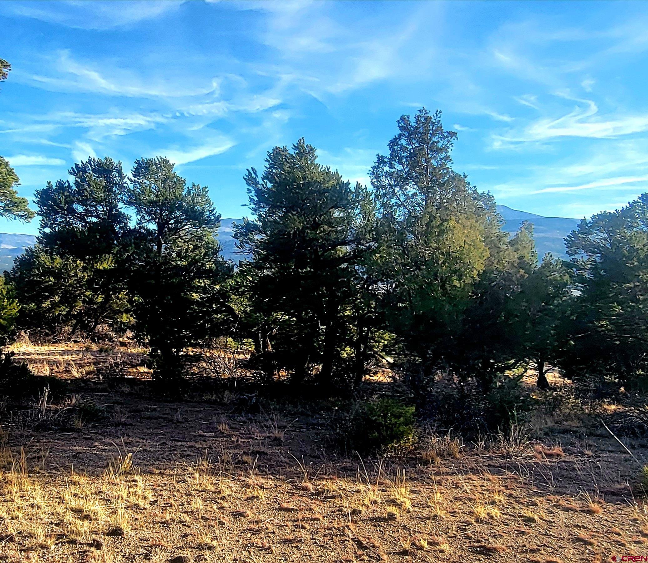 1094-1343 Valley View Road South Fork, CO 81154 - Photo 34 of 37