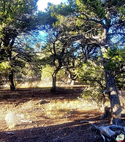 $739,900 | 1094-1343 Valley View Road, South Fork, CO 81154