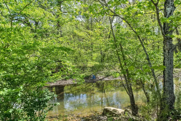$549,950 | 109 Berties Bottom Lane, New Castle, VA 24127