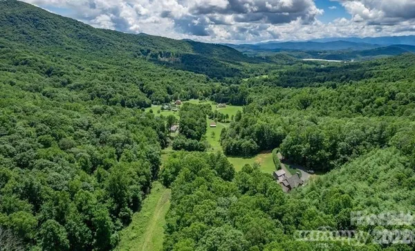 a view of a lush green forest with lots of trees