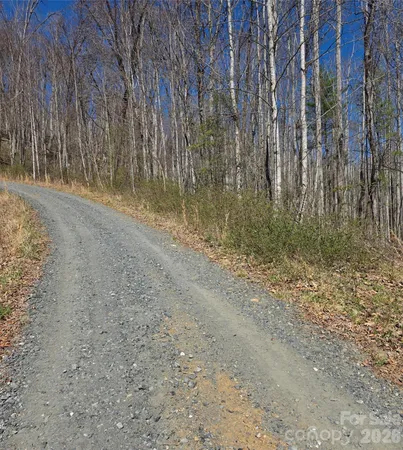 a view of a yard with large trees