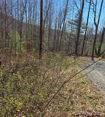 a view of a backyard of the house