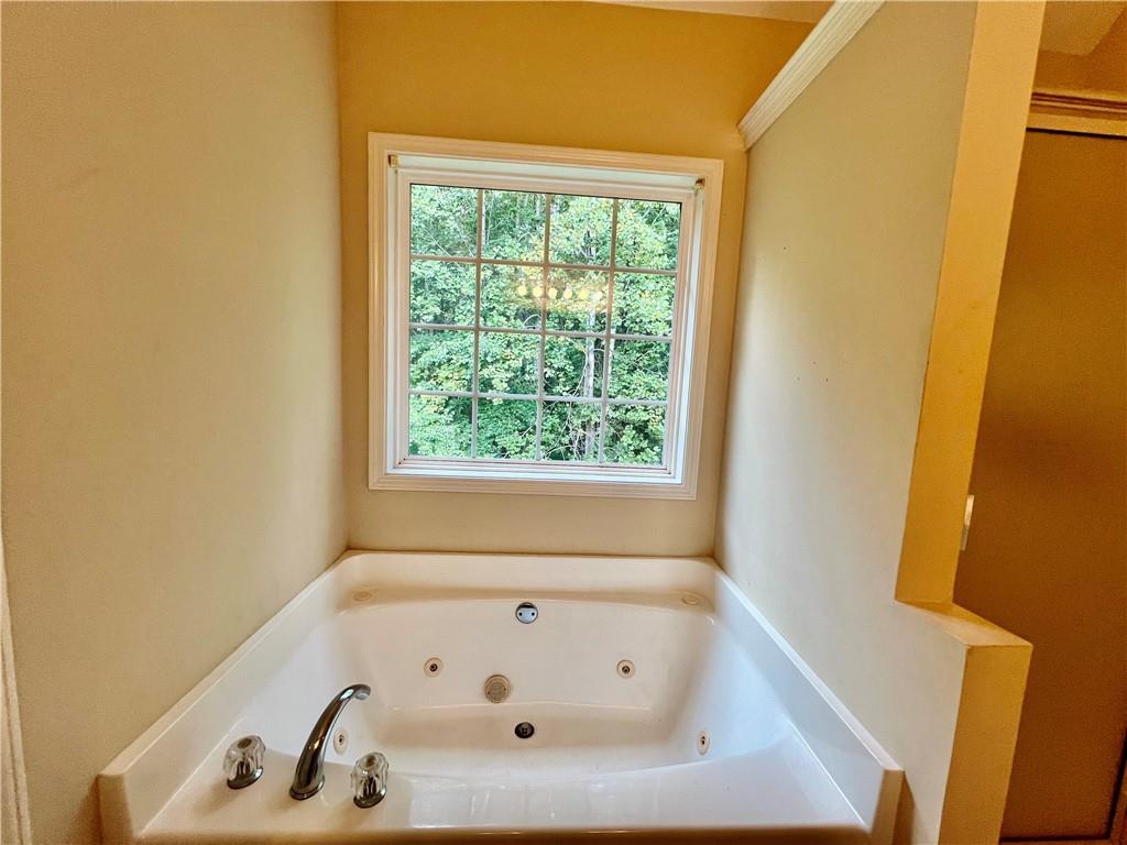 113 Nelson Ridge Drive Ball Ground, GA 30107 - Photo 19 of 33 a bathroom with bathtub and window