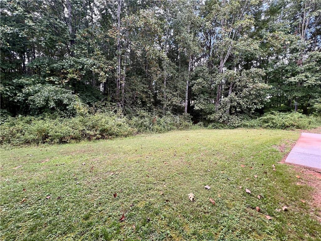 113 Nelson Ridge Drive Ball Ground, GA 30107 - Photo 31 of 33 a view of outdoor space and yard