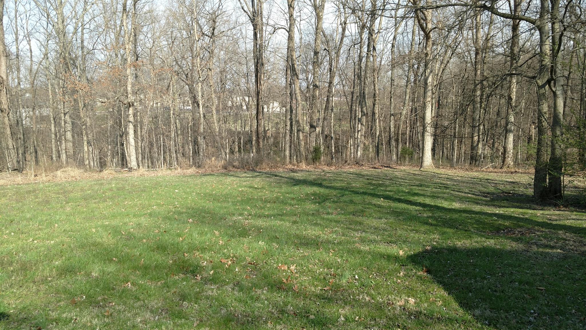 128 Butler Road Portland, TN 37148 - Photo 13 of 13 a backyard of apartments with large trees