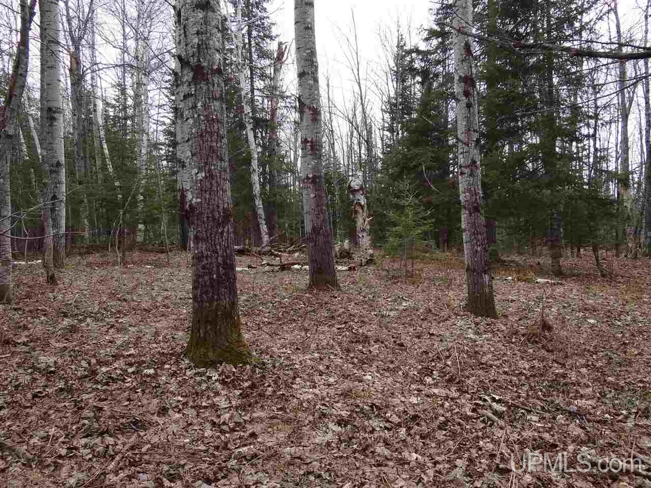 Tbd Dogpatch Road, Unit LOT I Lanse, MI 49946 - Photo 8 of 25
