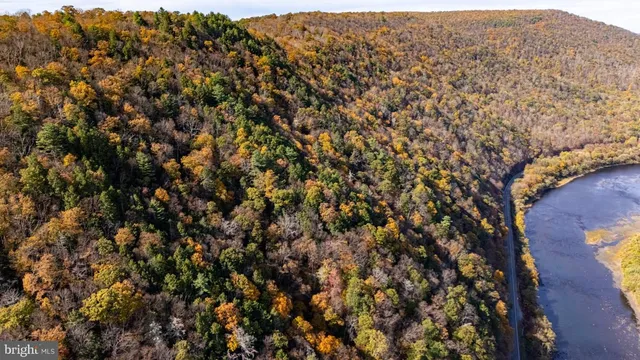 a view of a lake in middle of the forest