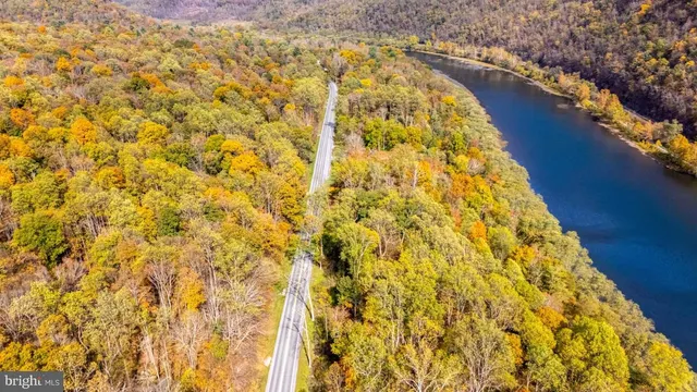 a view of dirt yard with a large tree