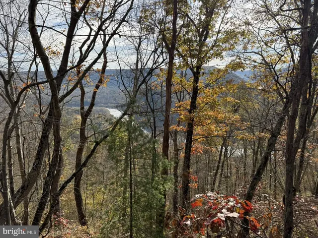a view of outdoor space and trees