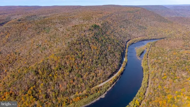 a view of a yard with a pathway
