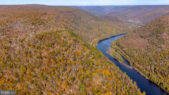 a view of a lush green hillside and a mountain