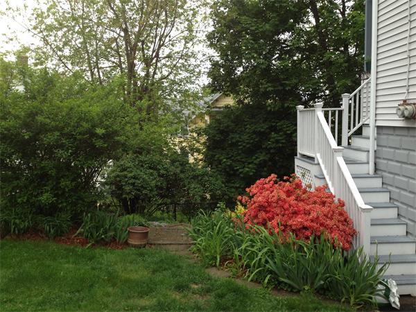 48-50 Gilbert Road, Unit 1 Belmont, MA 02478 - Photo 12 of 16 Gallery Image 12
