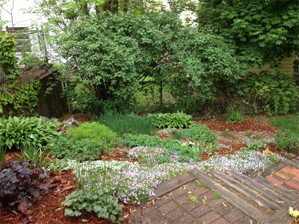 48-50 Gilbert Road, Unit 1 Belmont, MA 02478 - Photo 13 of 16 Gallery Image 13