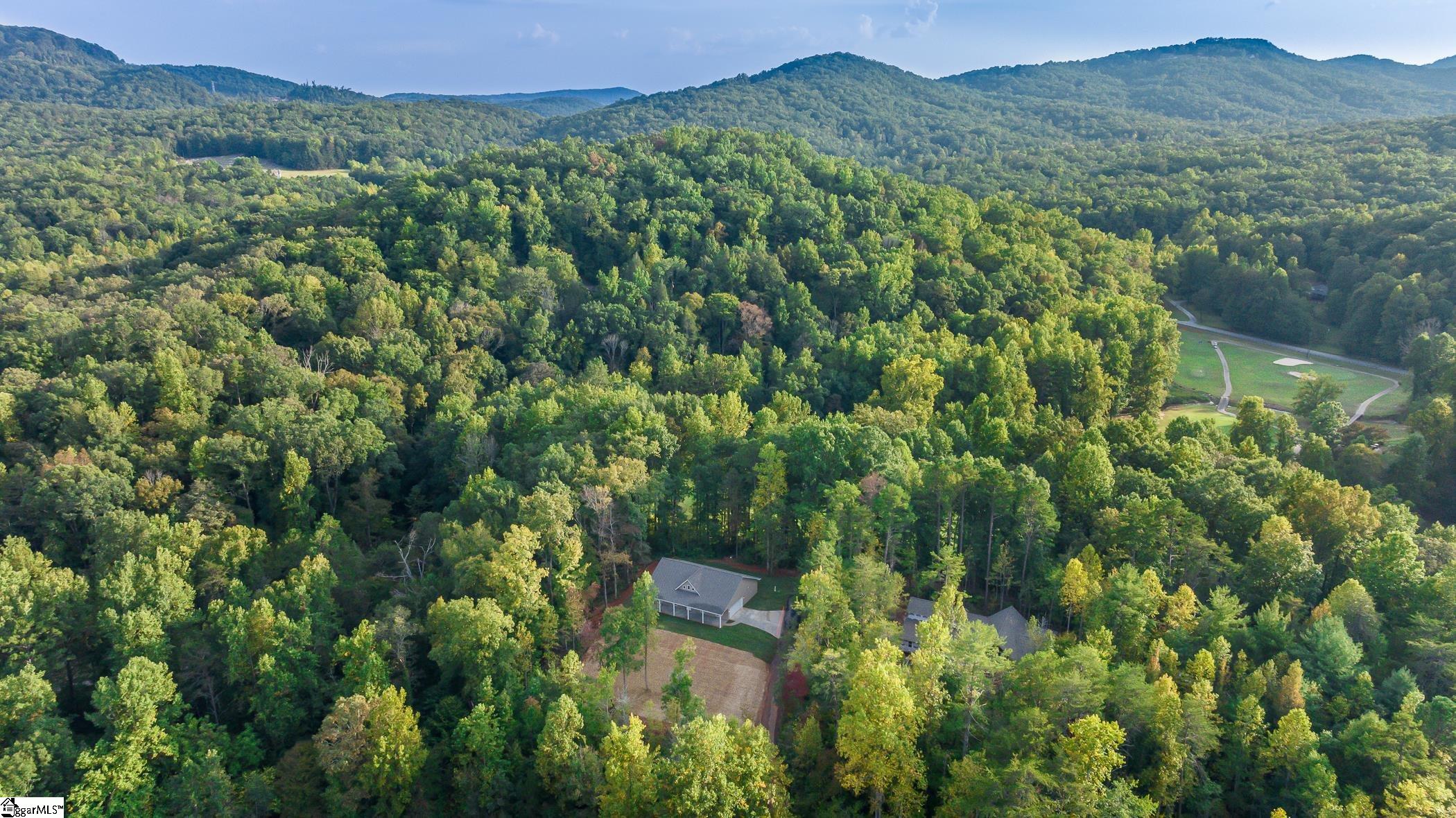 168 Broken Bow Run Pickens, SC 29671 - Photo 25 of 36