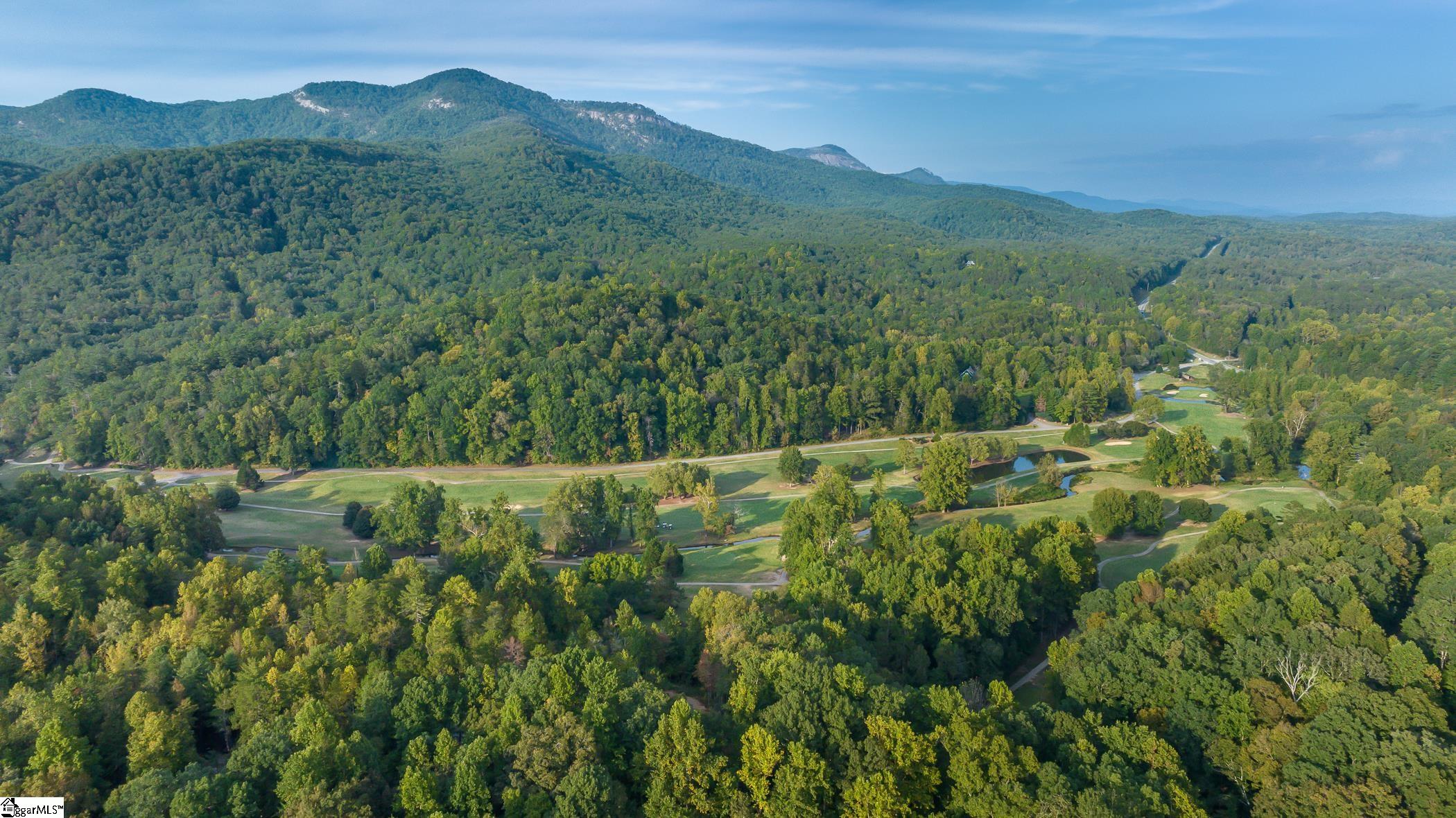 168 Broken Bow Run Pickens, SC 29671 - Photo 5 of 36