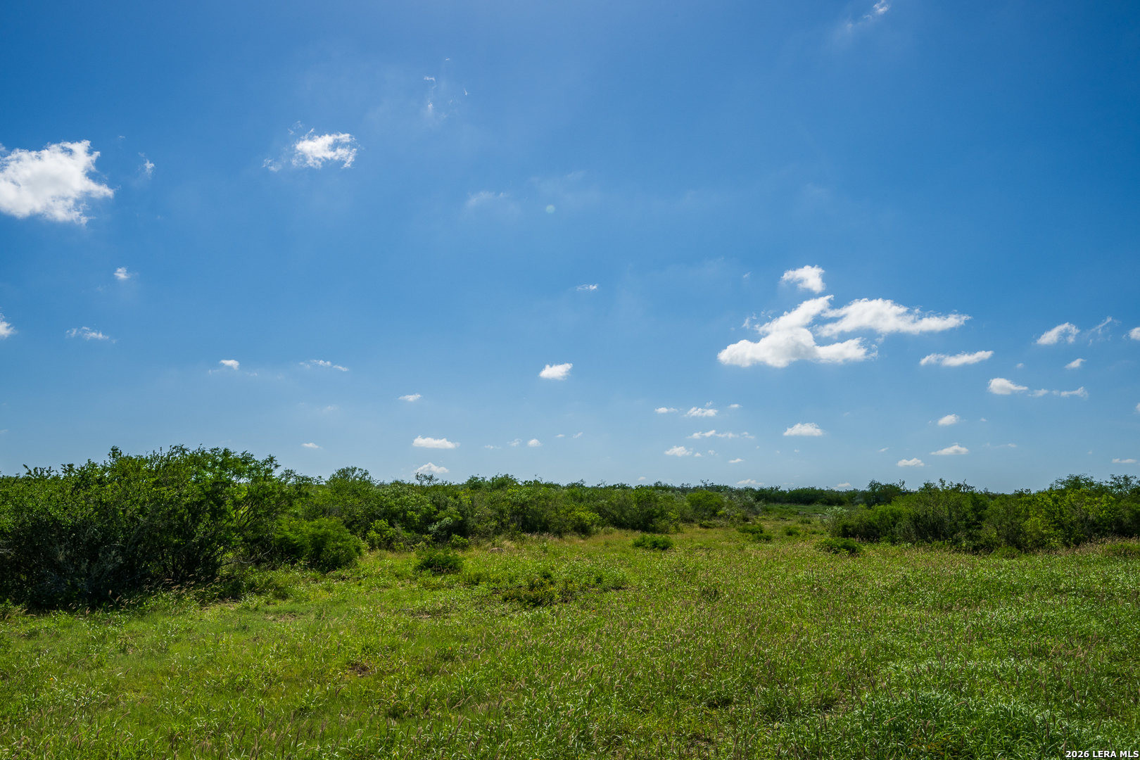 111 Los Lomas Ranch Road Freer, TX 78357 - Photo 21 of 31