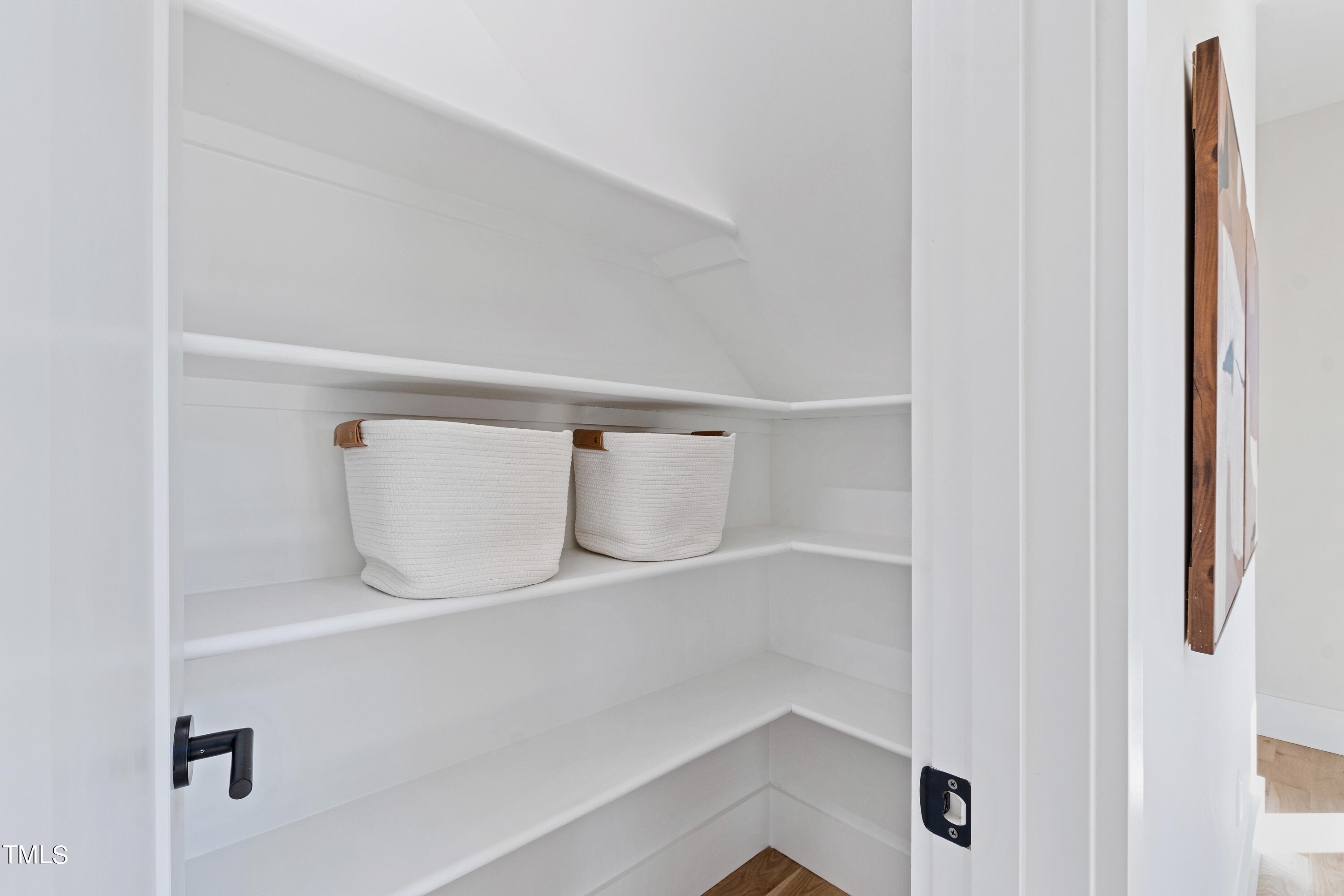 107 Gary Road Carrboro, NC 27510 - Photo 19 of 34 a close view of closet