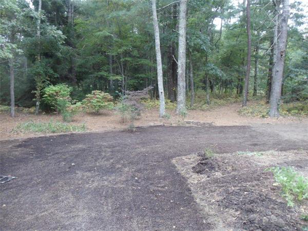 41 Yawl Road Barnstable, MA 02655 - Photo 25 of 25 a view of a forest with trees