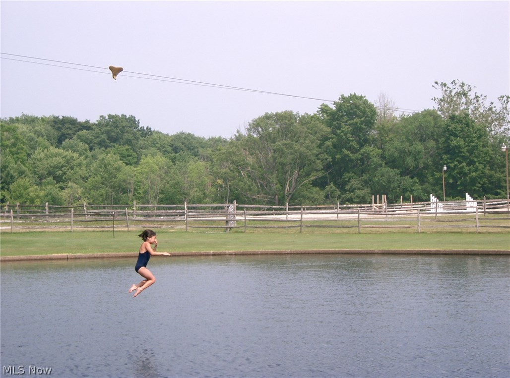 13753 County Line Road Novelty, OH 44072 - Photo 3 of 31 Fun-filled in Summer as you use the ZIP LINE to take a plunge into the pond. A kid's paradise.