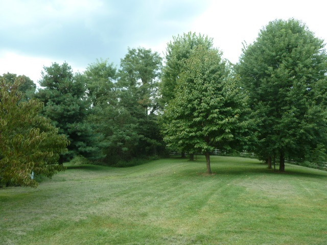 805 Osborne Road Dry Ridge, KY 41035 - Photo 41 of 43 Gallery Image 41