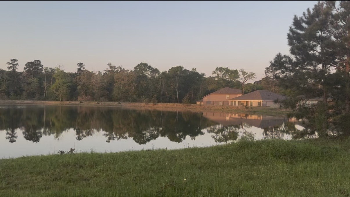 16072 Tallis Drive Conroe, TX 77303 - Photo 6 of 6