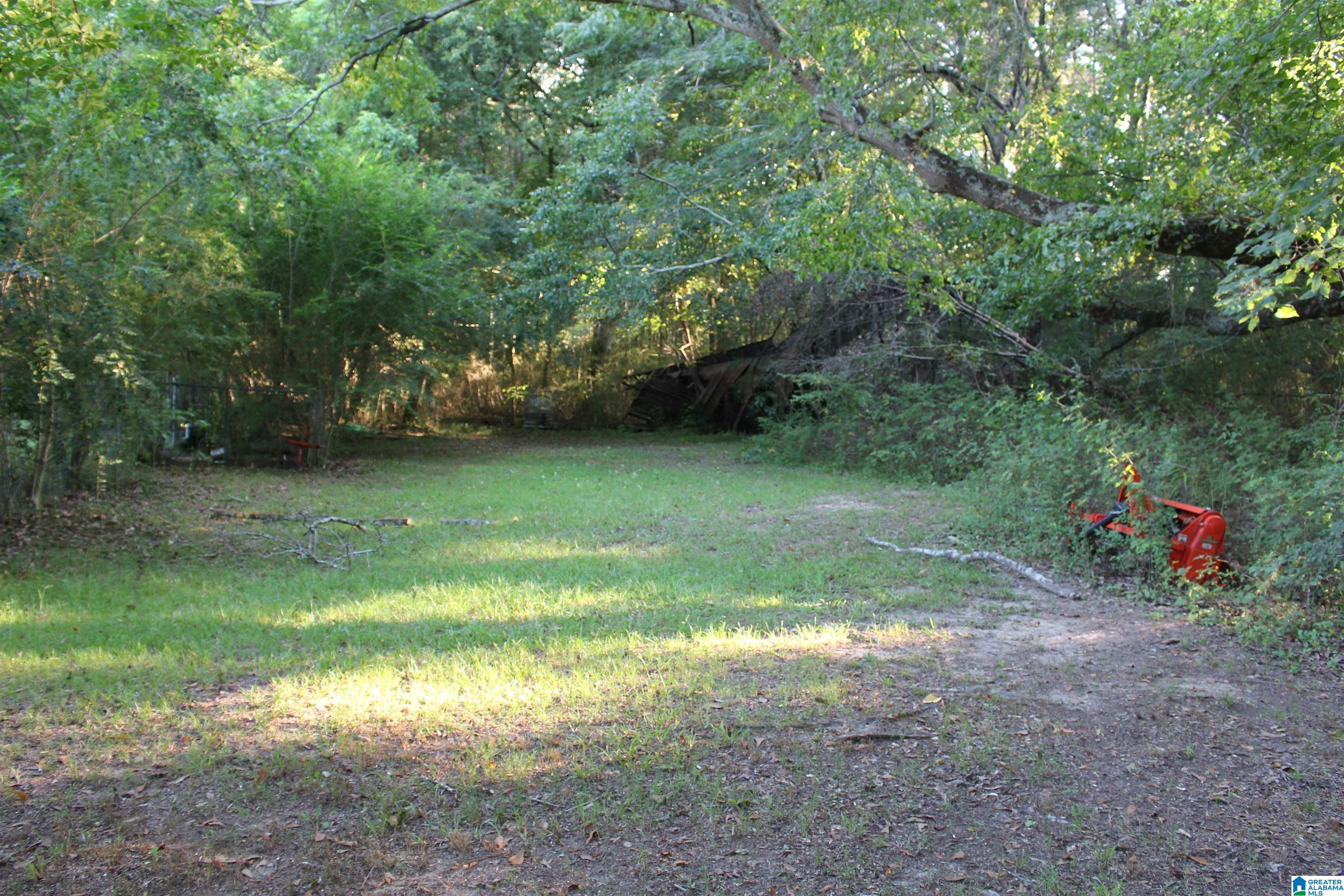 80 County Road 72 Danville, AL 35619 - Photo 7 of 11