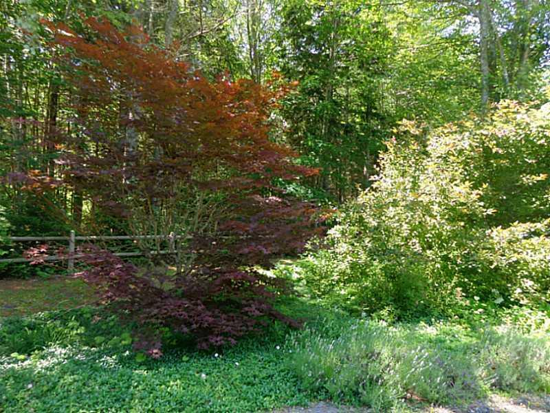 2380 Camden Road Warren, ME 04864 - Photo 25 of 30 Yard/Garden.