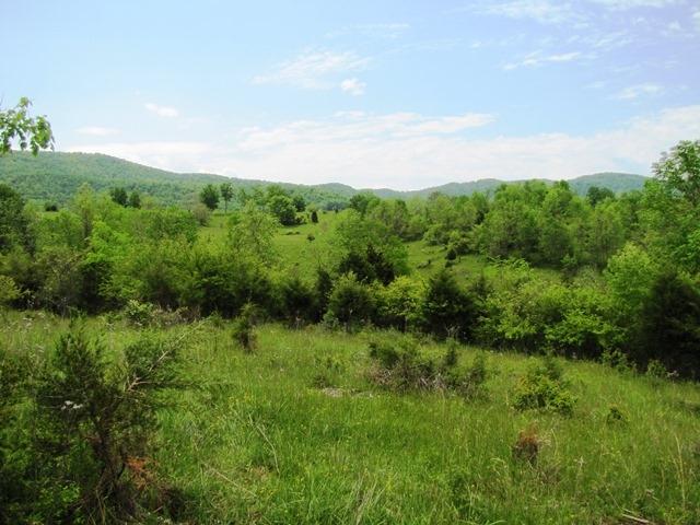 Johnson Crossroads Union, WV 24983 - Photo 8 of 21 Gallery Image 8
