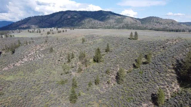 $100,750 | Lot 3 North 25th Highway, Davenport, WA 99122