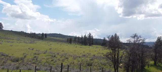 $100,750 | Lot 3 North 25th Highway, Davenport, WA 99122