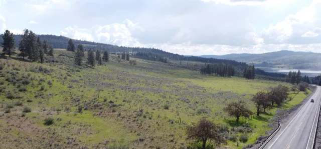 $100,750 | Lot 3 North 25th Highway, Davenport, WA 99122