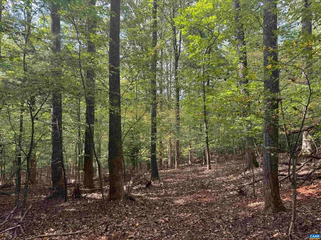 $85,000 | Lot 9 Truslows Lane, Nellysford, VA 22958