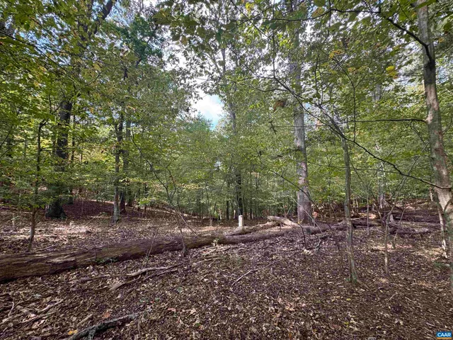 $85,000 | Lot 9 Truslows Lane, Nellysford, VA 22958